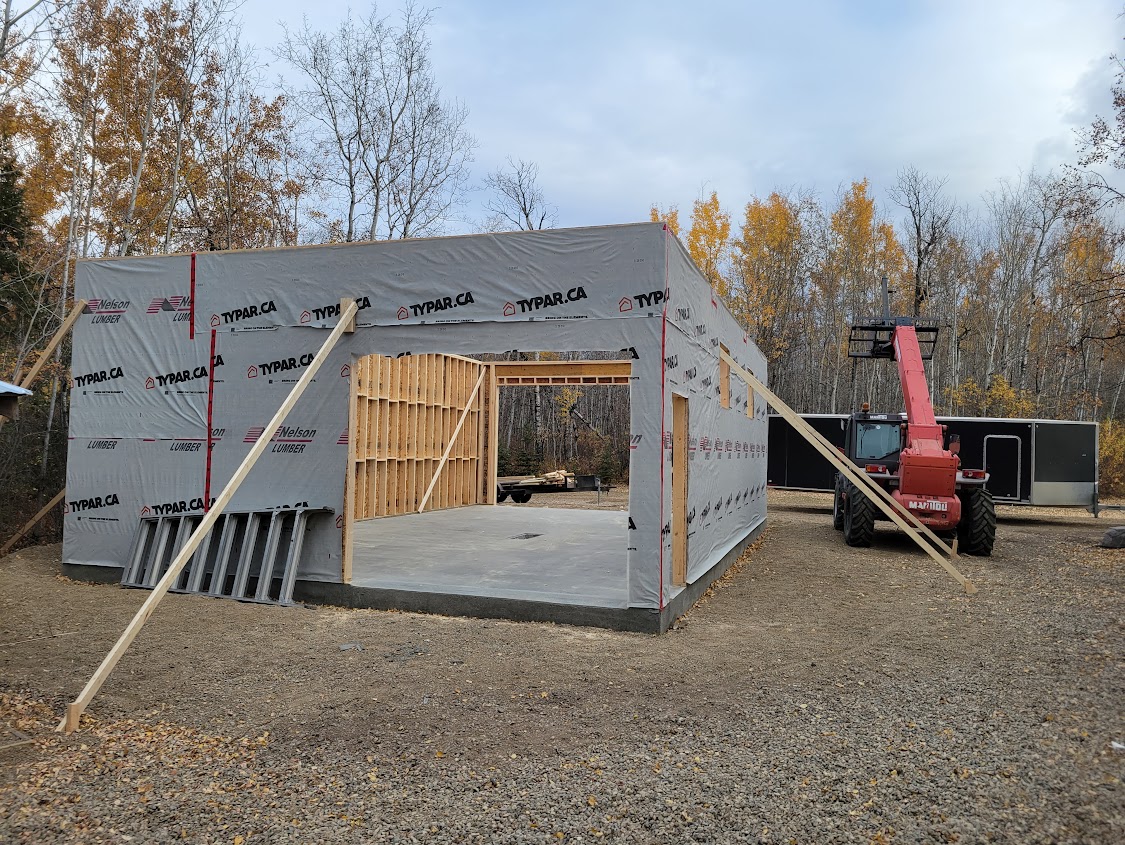Images The Blue Spruce Builder