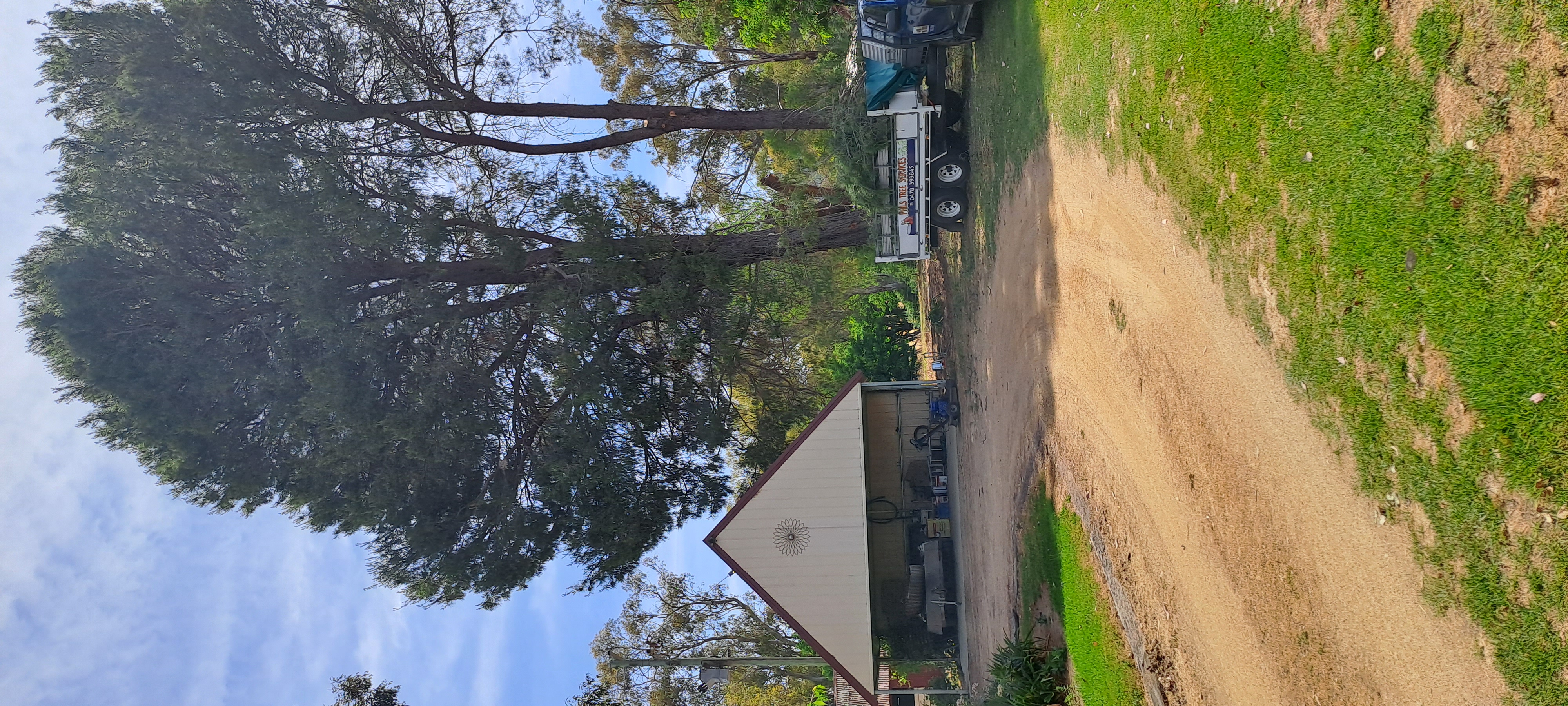 Images Phil's Tree Service