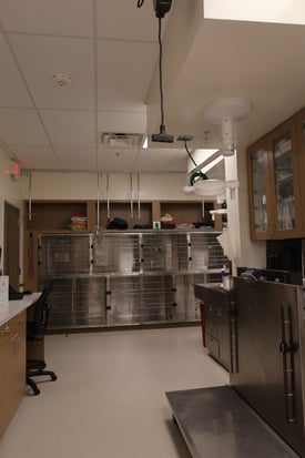 Images VCA Mainland Animal Hospital