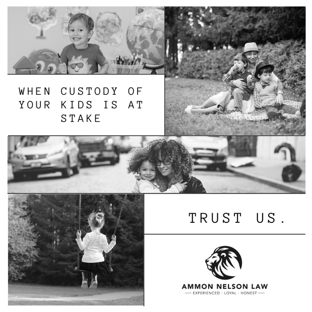 Images Ammon Nelson Law, PLLC