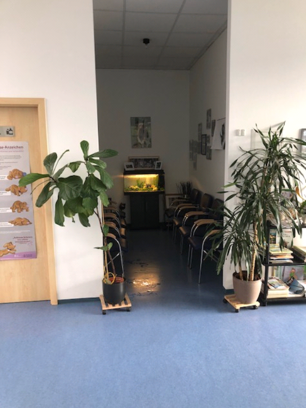 Tierarztpraxis Dr.med.vet. Sabine Duschner, Johann-Höllfritsch-Straße 9 in Wendelstein