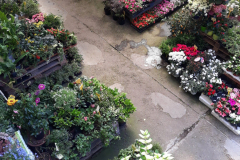 Images Novagri Garden