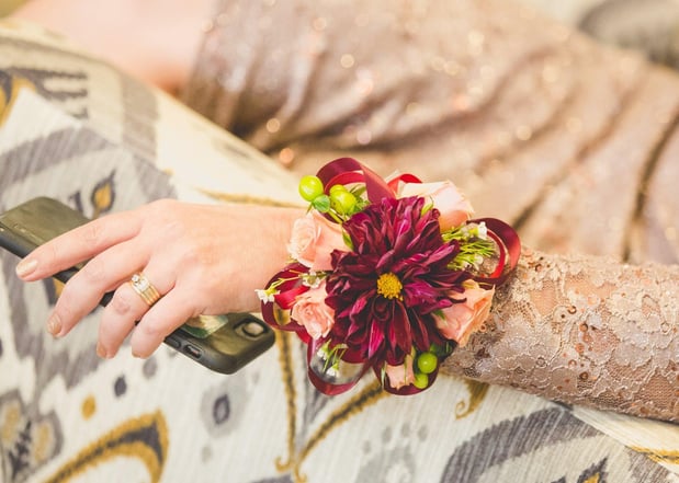 Images The Petal Post