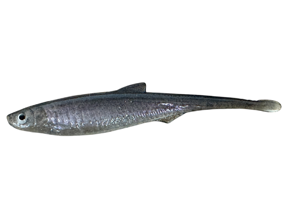 Images KP Fishing Oy