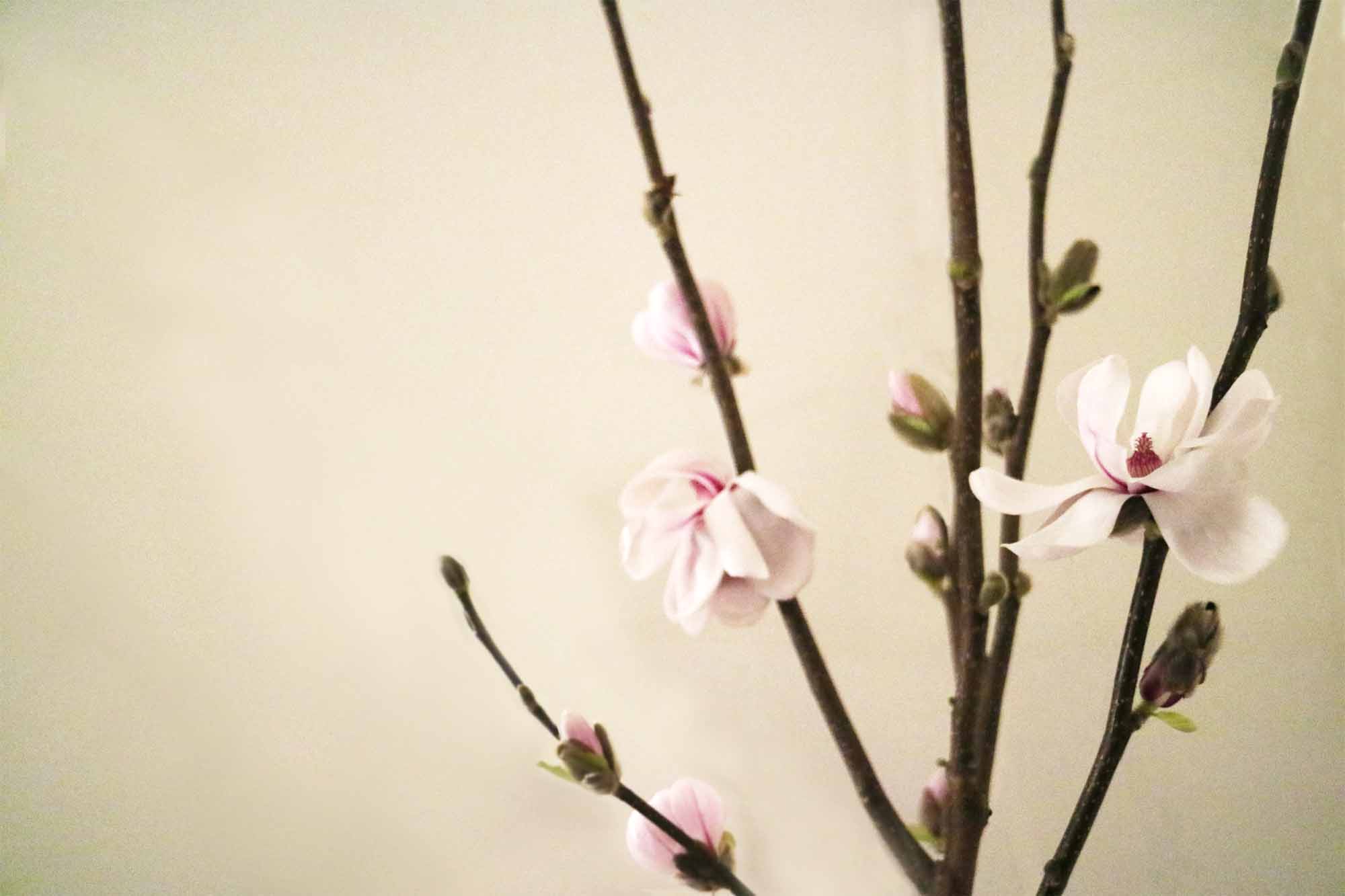 Bild 2 von Cranio Raum Linz