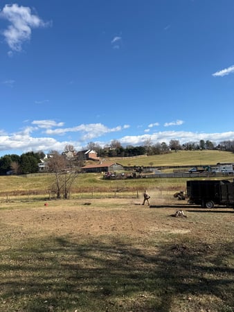 Images ER Tree Services LLC