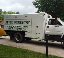 Images United Forestry Services