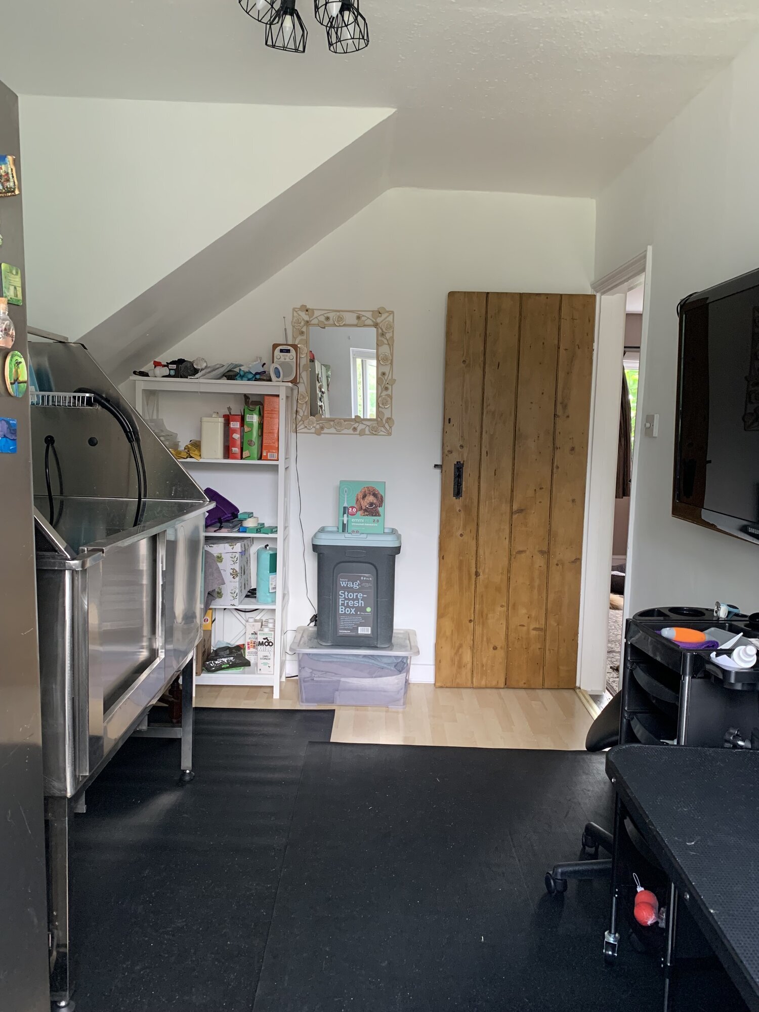 Images Scruff To Buff Dog Grooming