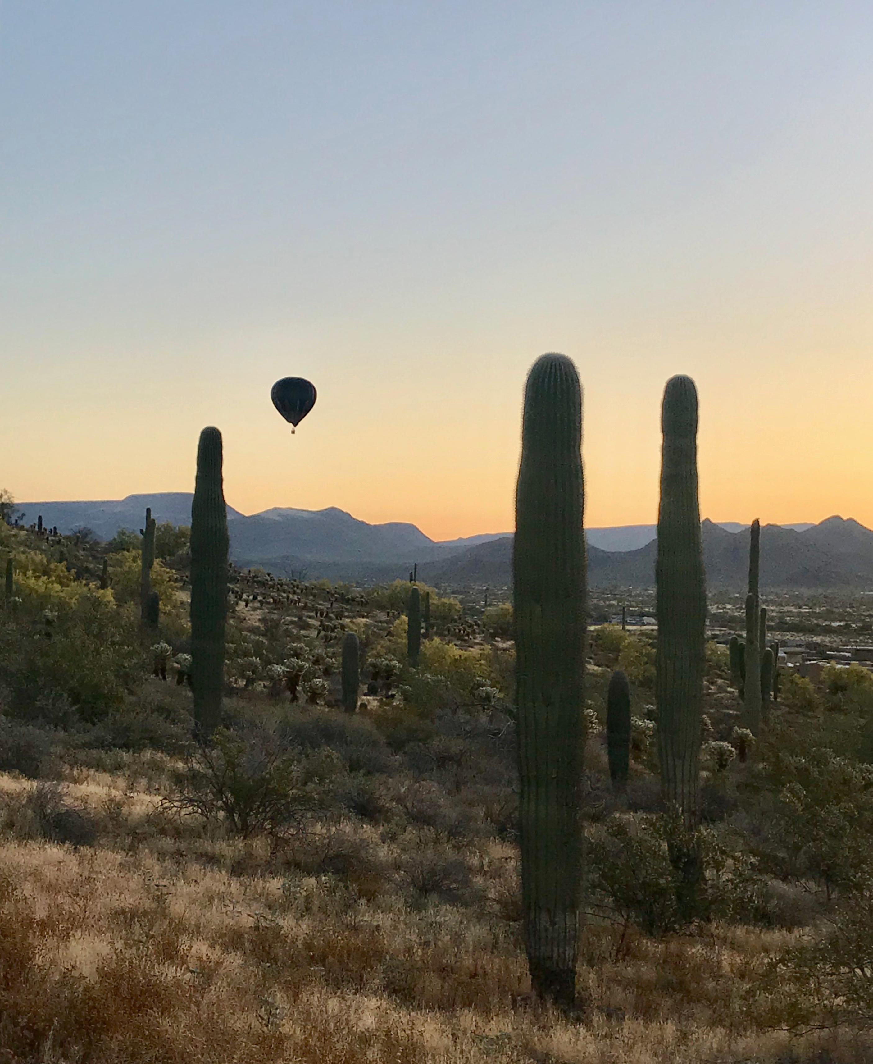 Destination Balloon Rides Photo