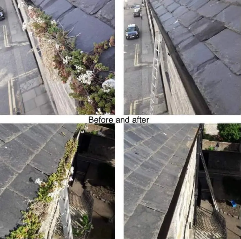 Images Coordinated Cleaning Services