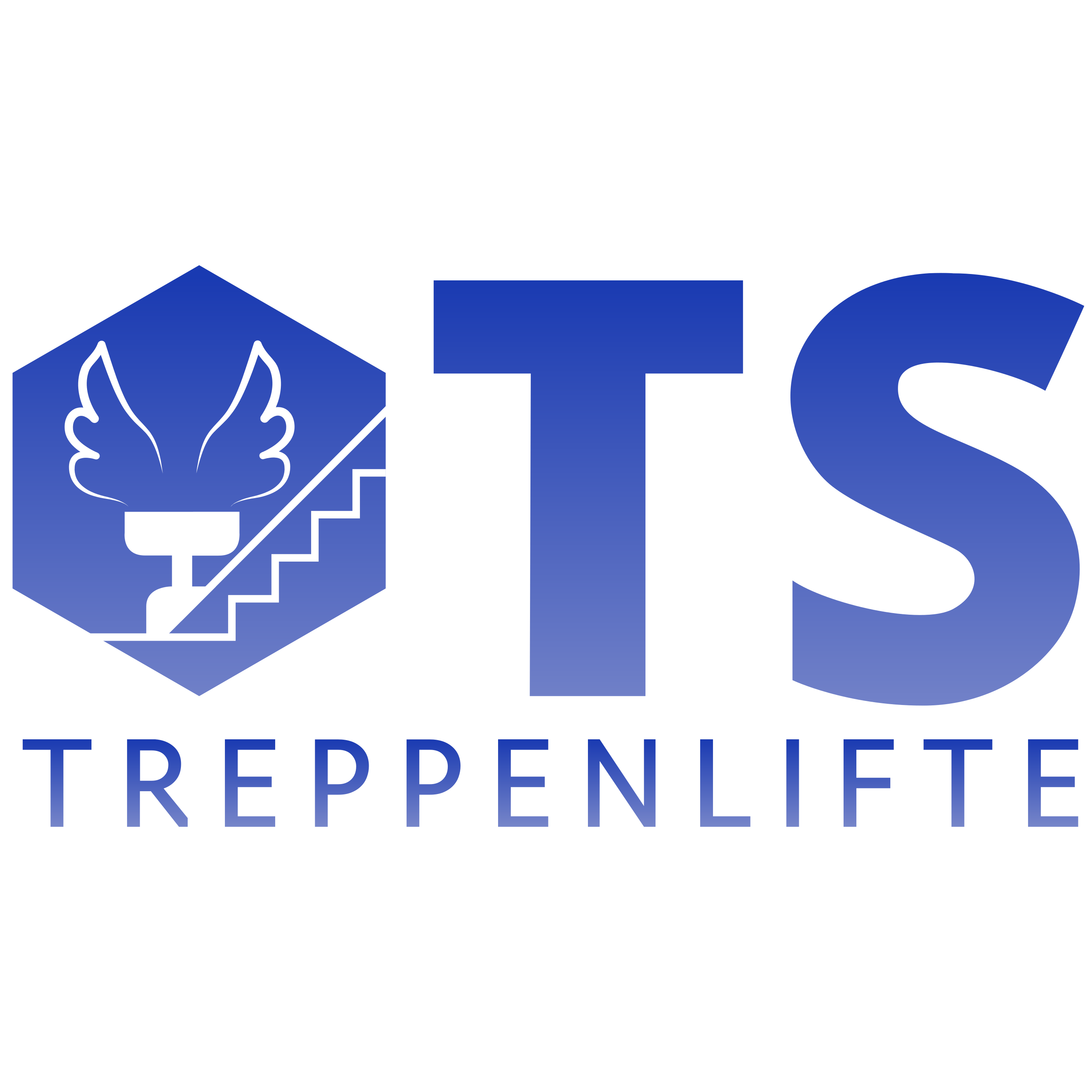 TS Treppenlifte Rostock - Treppenlift Plattformlift in Rostock - Logo