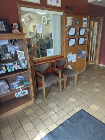 Images VCA Avondale Veterinary Hospital