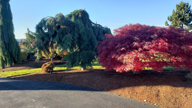 Images Real Landscaping