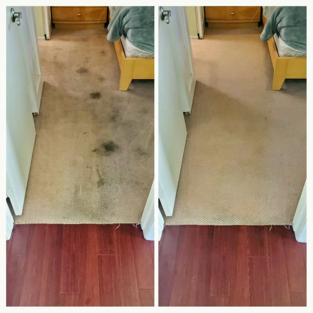 Before and after carpet cleaning in Gardena
