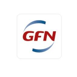 GFN AG Logo