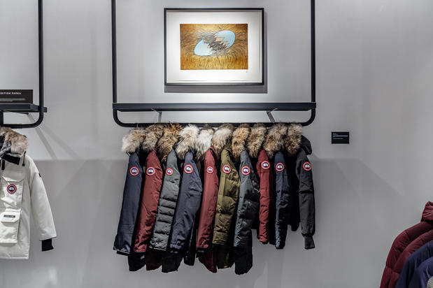 Images Canada Goose Minnesota