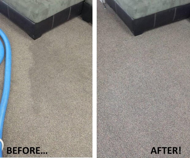 Images Jake's 5 Star Carpet & Upholstery Cleaning