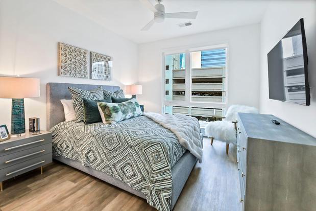 Images The Palms 1101
