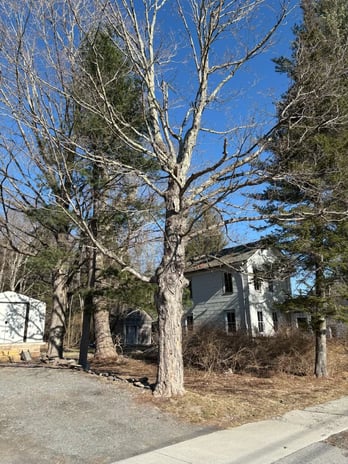 Images Spence’s Tree Care N Landscaping