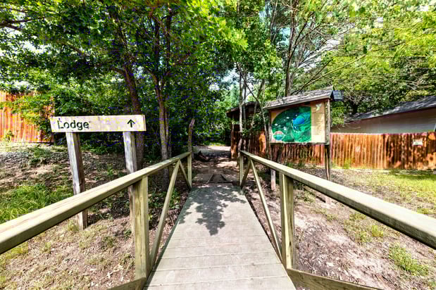 Images YMCA Camp Classen