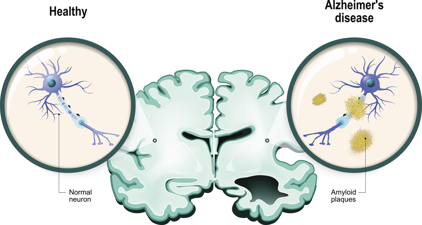 Bilder NeurologiePraxis dr. Celik
