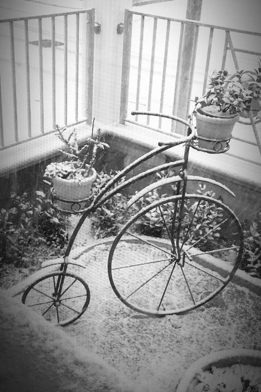 Images L'Antica Forgia - Lavorazioni in Ferro