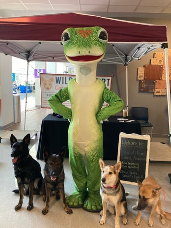 Images Greg Hilst - GEICO Insurance Agent