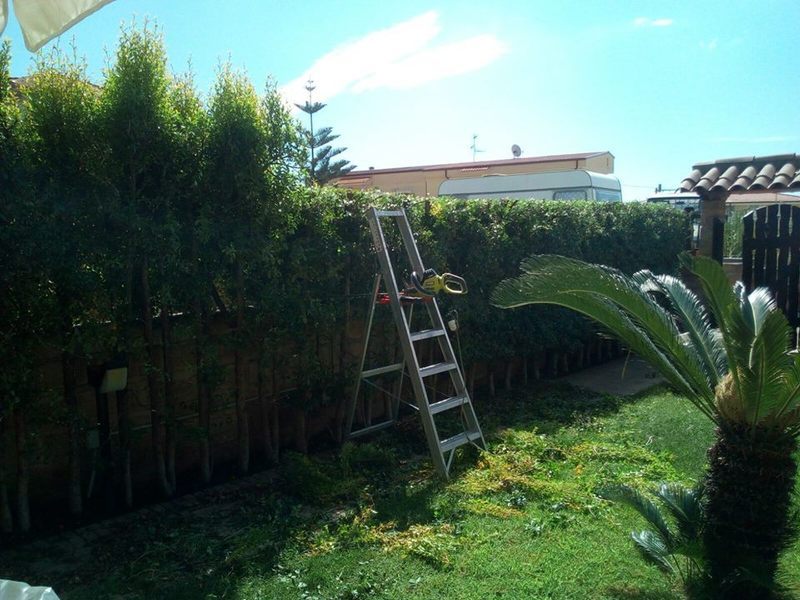 Images Ekosistem Ambiente