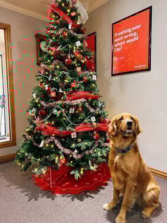 Images Samuel Robertson - State Farm Insurance Agent