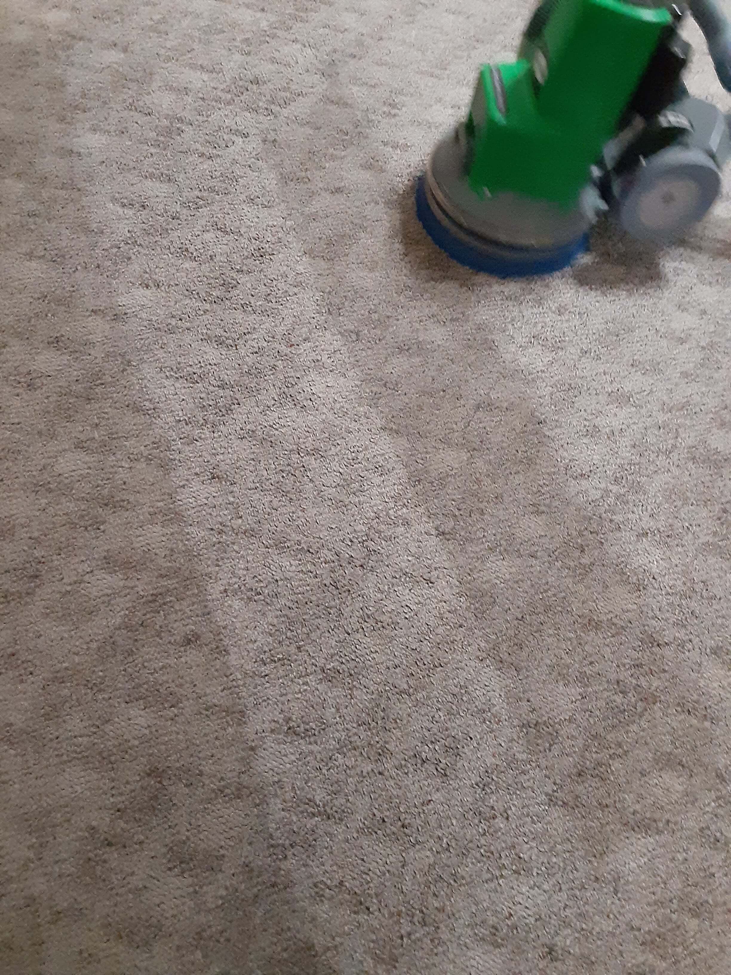 Carpet Cleaning in Clio, MI