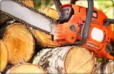 Images Ascot Tool Hire
