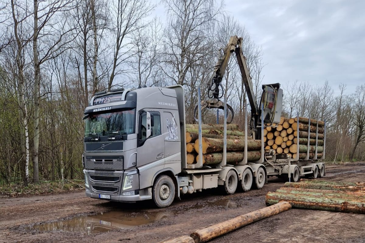SIA Mežmiķeļi, veic dažādu kokmateriālu, tostarp malkas, papīrmalkas un zāģbaļķu, iepirkšanu krautuvē, nodrošinot klientiem izdevīgus nosacījumus.