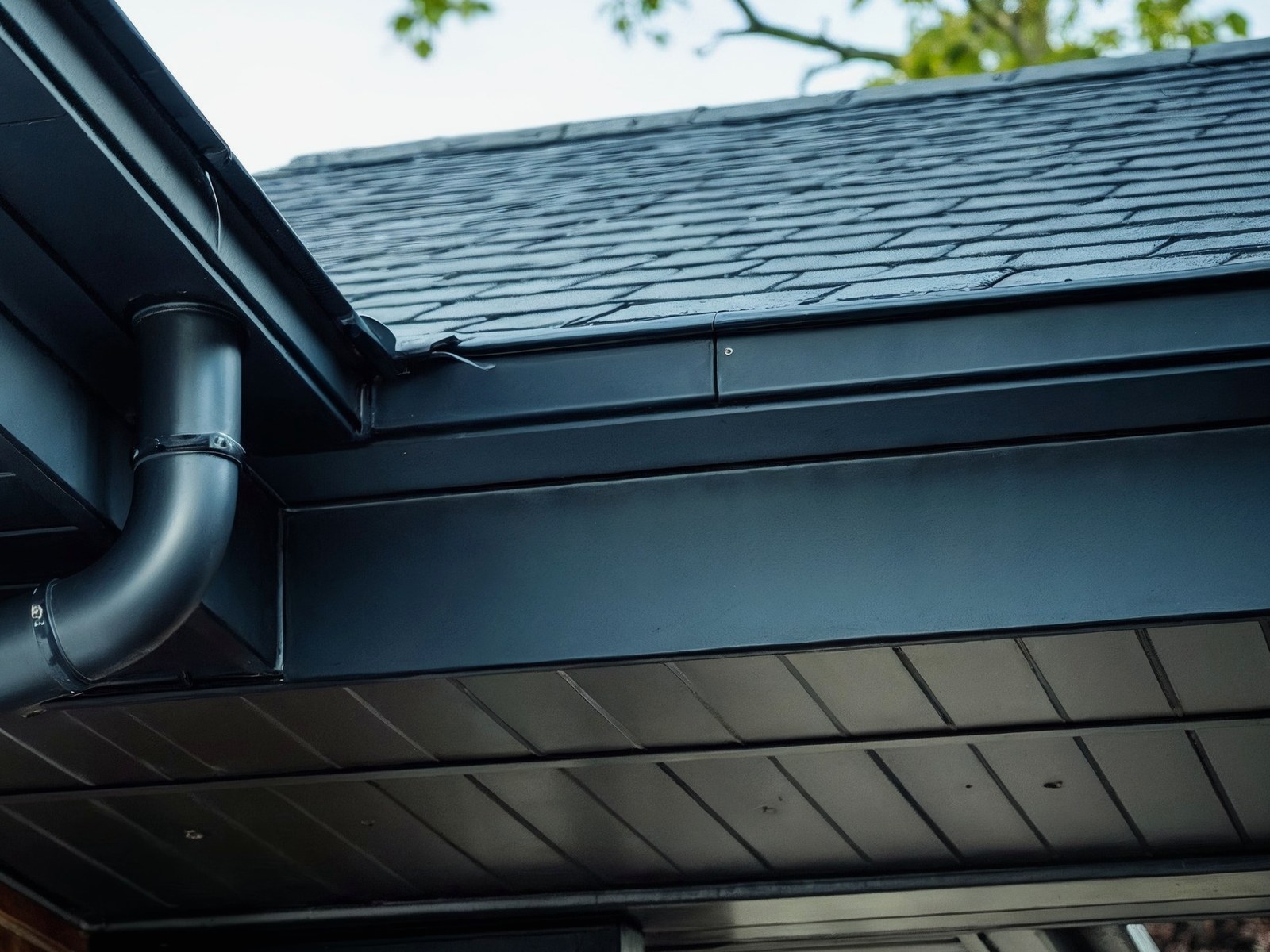Minnesota Leafless Gutters