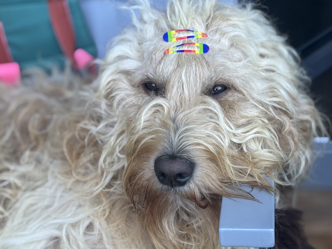 Bild 5 von mel4animal - Melanie Leikam