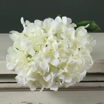 Images Village Green Wholesale Ltd