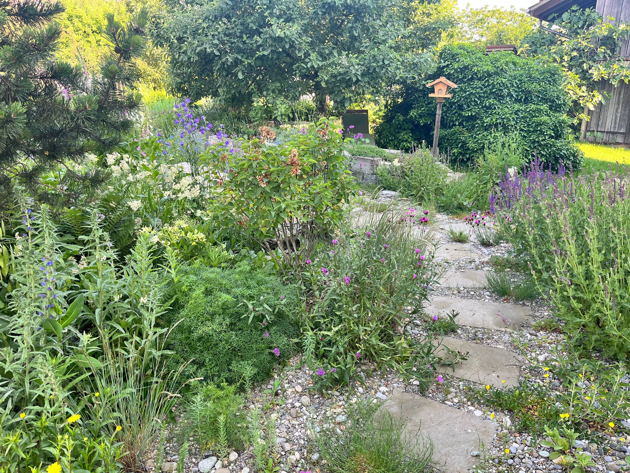 Rutschmann Naturgarten AG, Wiesendangerstrasse 51 in Stadel (Winterthur)