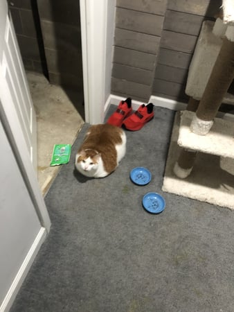 Images TWO Electrical Contracting