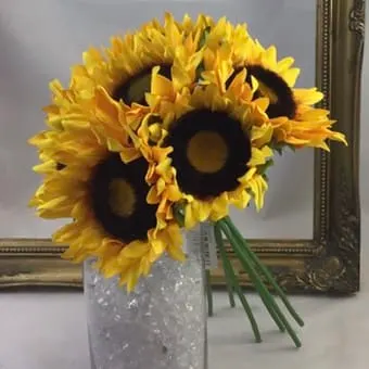 Images Village Green Wholesale Ltd