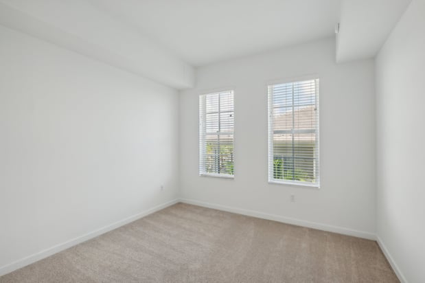 Images Ivory Lantana