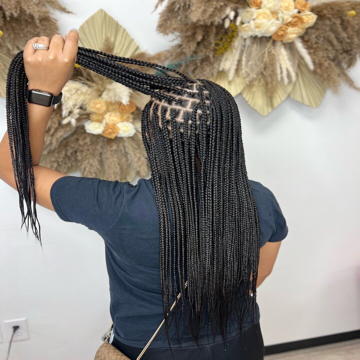 Images Bella-Vista Braids