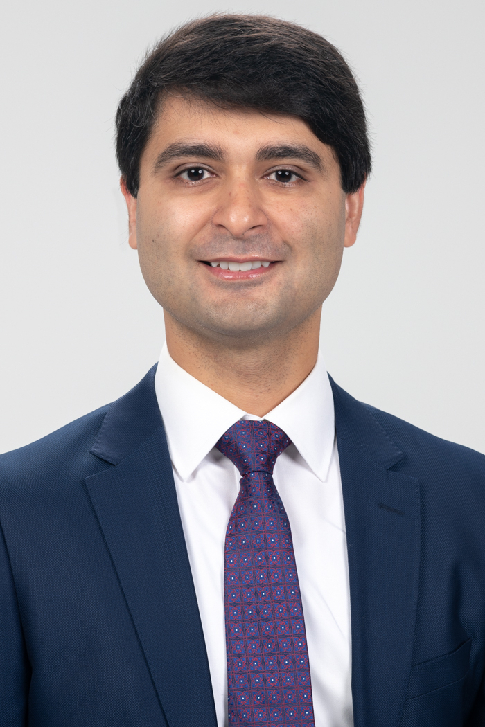 Mohammad H Abbasi