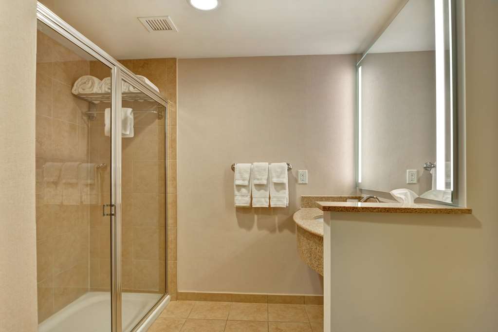 Guest room bath Hilton Garden Inn Lake Buena Vista/Orlando Orlando (407)239-9550