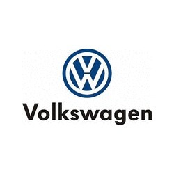 Volkswagen Vicentini Logo