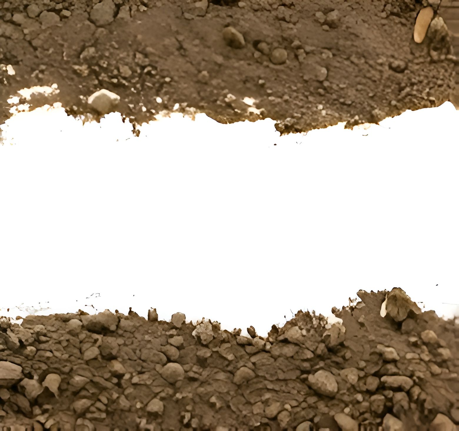 Stelly's Dirt Service Image