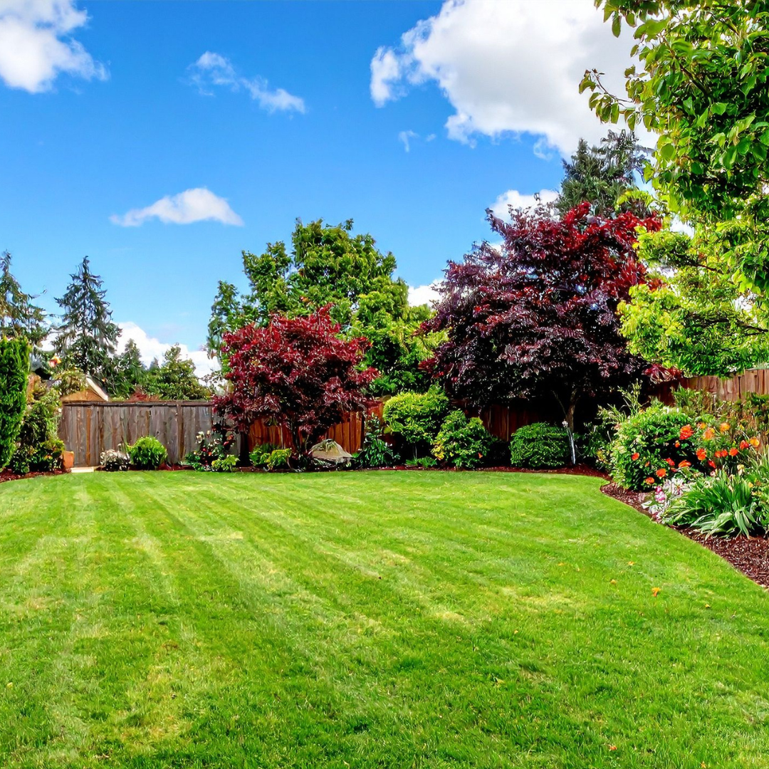 Trimmers Landscaping