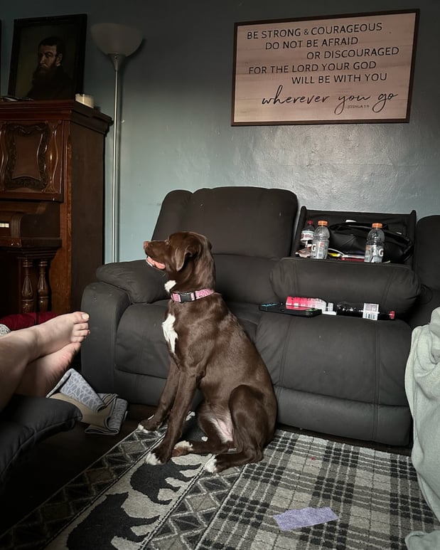 Images Valerie Olsen Feliciano - State Farm Insurance Agent