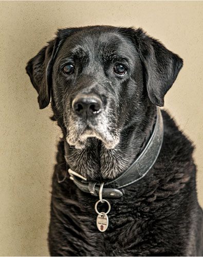 Matzack Karin Rechtsanwältin und auch Fachanwältin für Erbrechtrecht und Familienrecht, Hanauer Str. 45 in Alzenau