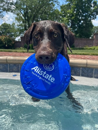 Images Misty Supreeth: Allstate Insurance
