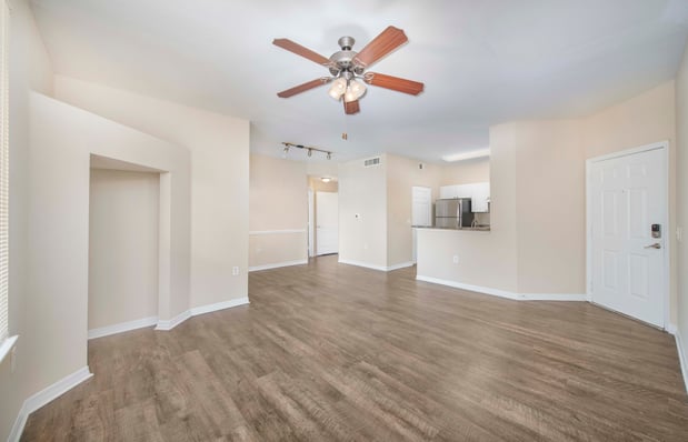 Images MAA Palm Harbor