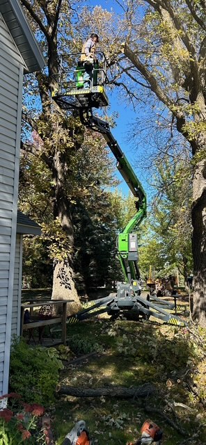Images Eager Beaver Tree Service LLC